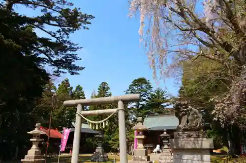 三春大神宮の鳥居
