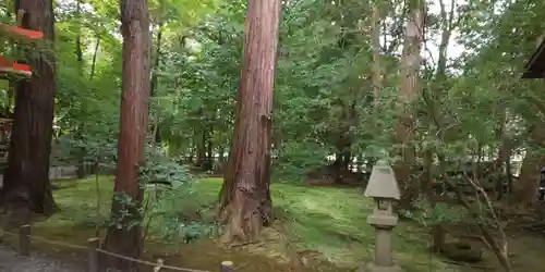 野宮神社の景色