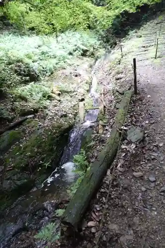 醍醐寺（上醍醐）の自然