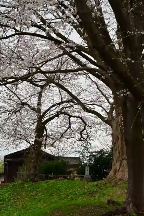 安禅寺(新潟県)