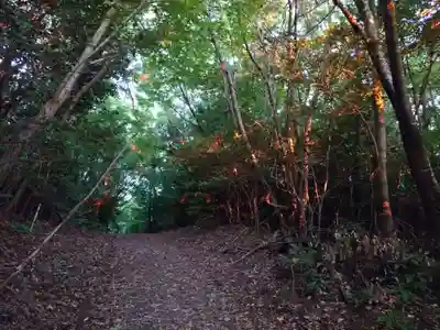 大元神社（宇佐神宮奥宮）(大分県)