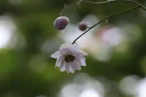 長命寺の庭園