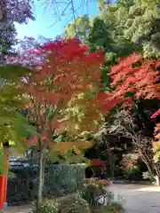 徳光院の建物その他