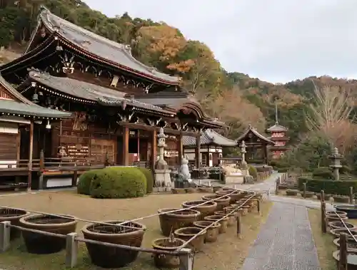 三室戸寺の本殿・本堂