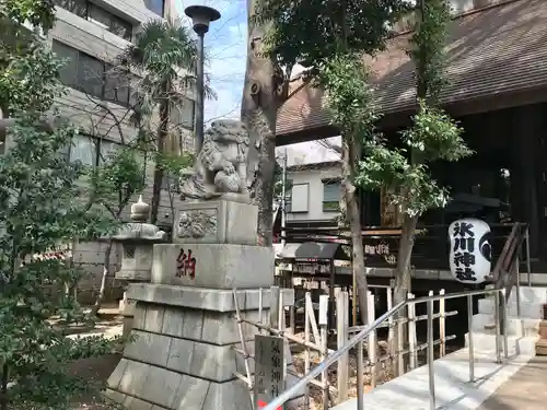 高円寺氷川神社の狛犬