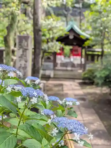 白金氷川神社(東京都)