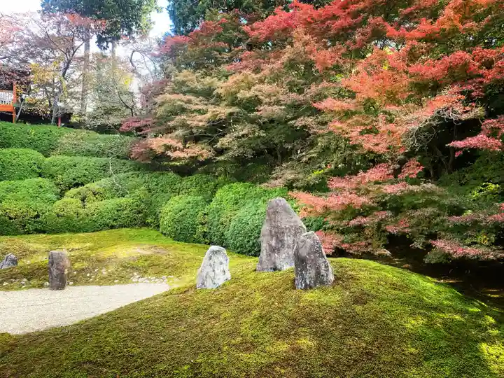 光明院(光明禅院)(京都府)