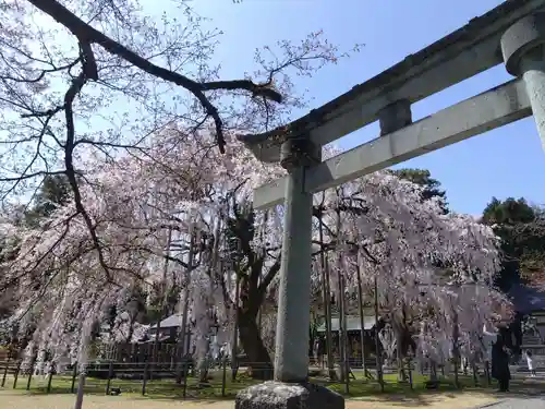 足羽神社の鳥居