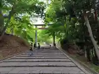 北海道神宮の鳥居