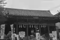 浅草神社の本殿・本堂