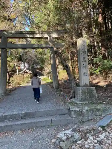 椎尾神社(大阪府)