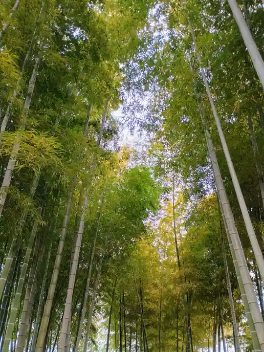 武蔵一宮氷川神社(埼玉県)