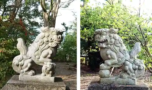 愛鷹神社（大野新田）の狛犬