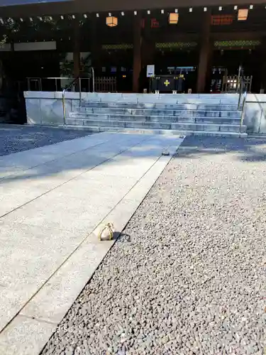 乃木神社の本殿・本堂