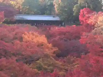東福禅寺(東福寺)(京都府)