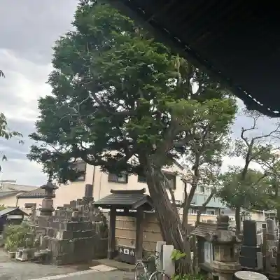 荘厳寺(神奈川県)