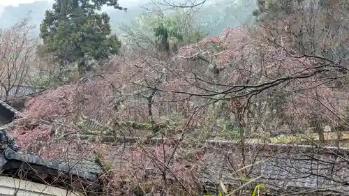 十輪寺(京都府)