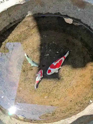 西野神社(北海道)