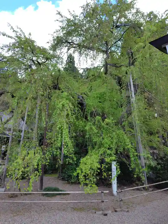 平泉寺(山形県)