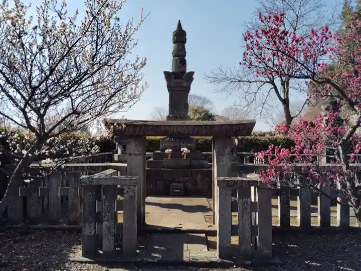 善導寺(群馬県)