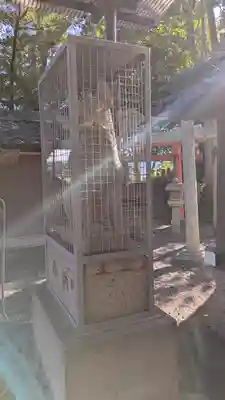 稲荷神社(滋賀県)