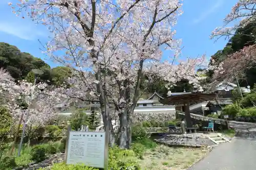 応聖寺(兵庫県)