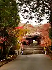 曼殊院門跡(京都府)