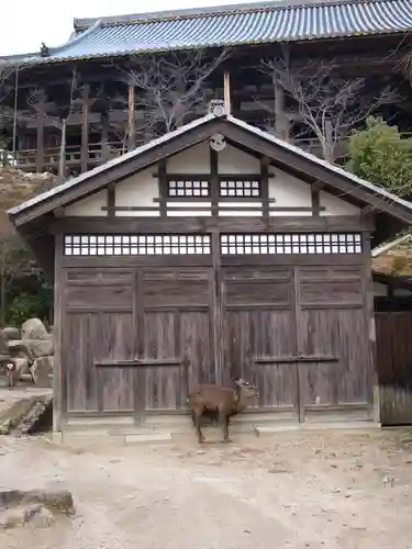 豊国神社 の動物