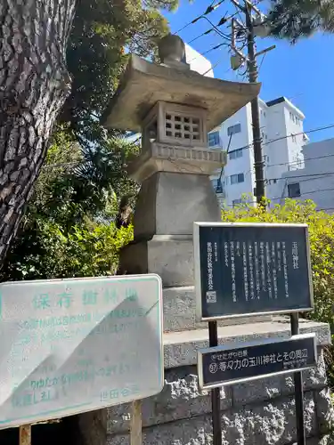 玉川神社(東京都)