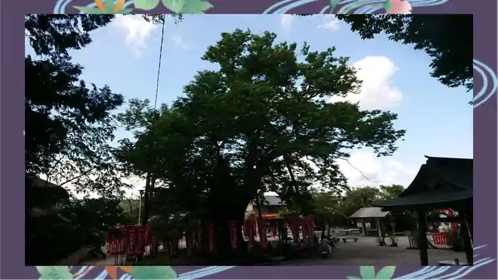 秩父今宮神社(埼玉県)