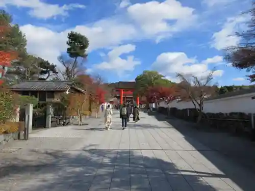 伏見稲荷大社(京都府)