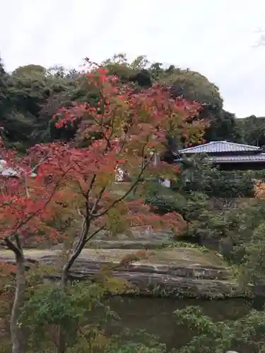 円覚寺の庭園