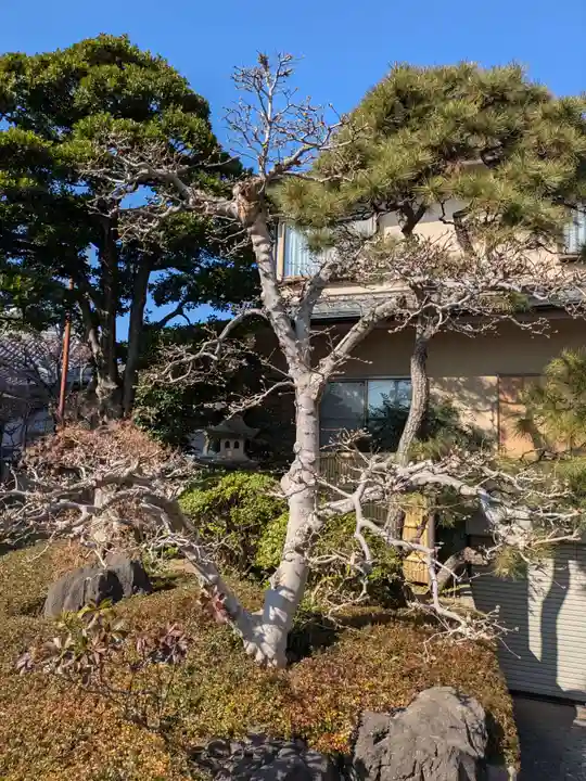 来迎寺(東京都)