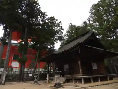 高野山金剛峯寺(和歌山県)