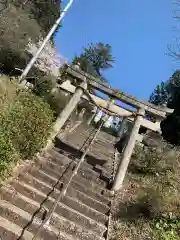 平野日吉神社の鳥居