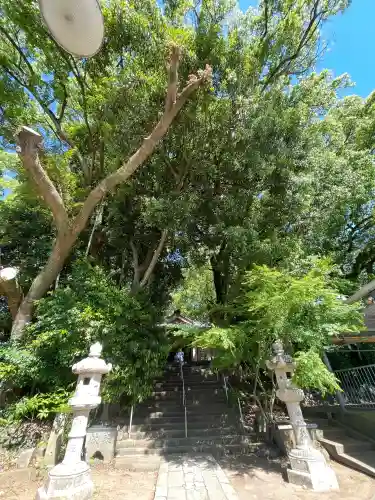 山王神社の{uncategorized: "未分類", other: "その他", undefined: "問題あり", building: "その他建物", grave: "お墓", sacred_gate: "鳥居", guardian: "狛犬", statue: "像", buddha: "仏像", history: "歴史", nature: "自然", garden: "庭園", animal: "動物", pagoda: "塔", temizu: "手水舎", mountain_gate: "山門・神門", sanctuary: "本殿・本堂", subordinate: "末社・摂社", art: "芸術", scenery: "景色", jizo: "地蔵", ema: "絵馬", goshuin: "御朱印", omikuji: "おみくじ", items: "授与品その他", amulet: "お守り", goshuincho: "御朱印帳", eats: "食事", festival: "お祭り", votive_dance: "神楽", shichigosan: "七五三参", wedding: "結婚式", experience: "体験その他", initially: "初詣", around: "周辺", anti_infection: "感染症対策"}