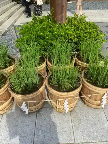東京大神宮の庭園