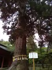 志波彦神社・鹽竈神社(宮城県)