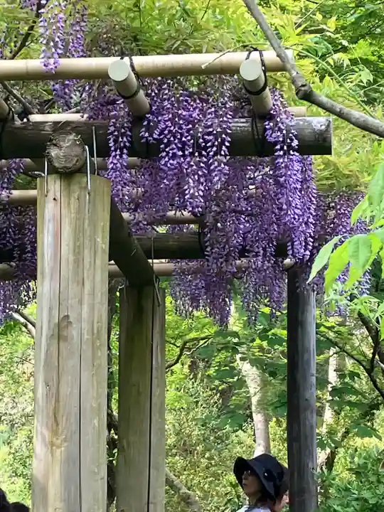春日大社(奈良県)