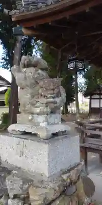 北大路御霊神社の狛犬