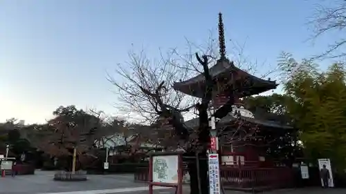 喜多院(埼玉県)