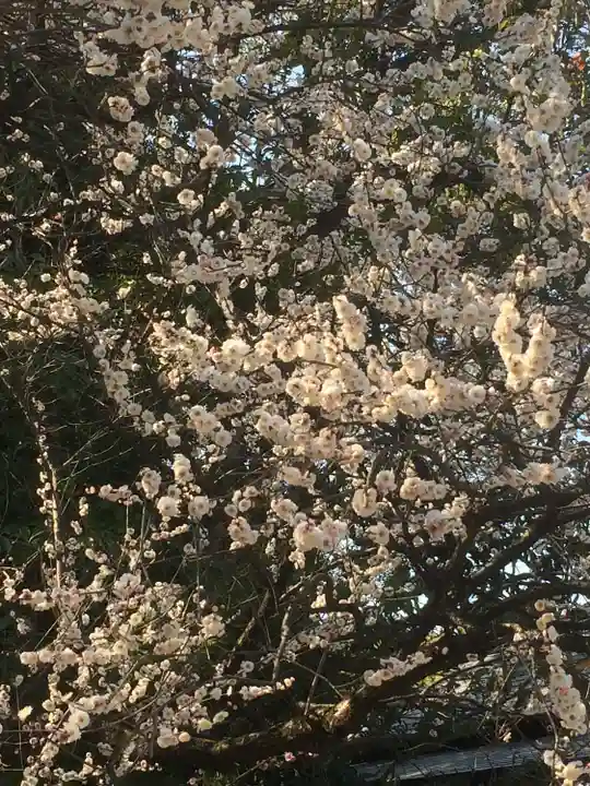 熱田神宮(愛知県)