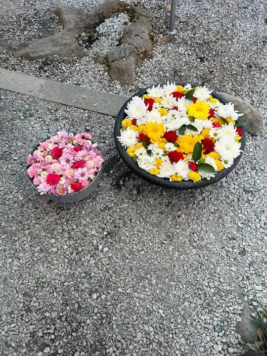 埼玉厄除け開運大師・龍泉寺(切り絵御朱印発祥の寺)(埼玉県)