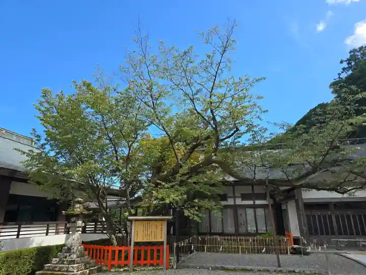 熊野那智大社(和歌山県)