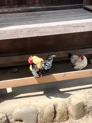 大崎八幡宮(宮城県)