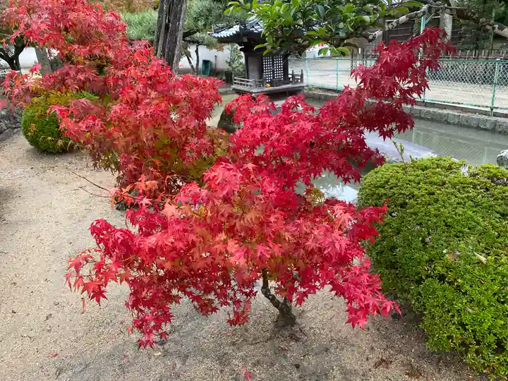 轉法輪寺(兵庫県)