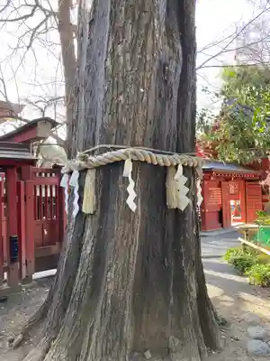 秩父神社(埼玉県)