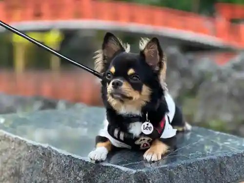 富士山本宮浅間大社(静岡県)