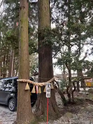 駒形神社(岩手県)