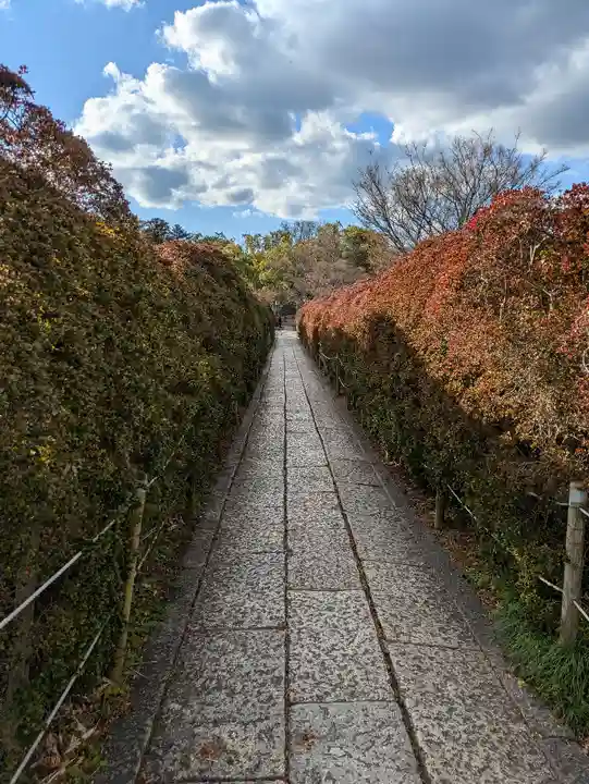 長岡天満宮(京都府)